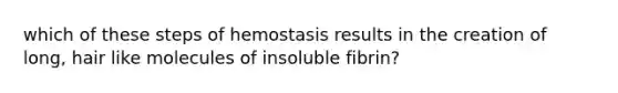 which of these steps of hemostasis results in the creation of long, hair like molecules of insoluble fibrin?