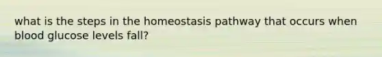 what is the steps in the homeostasis pathway that occurs when blood glucose levels fall?