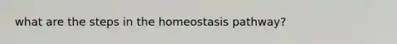 what are the steps in the homeostasis pathway?