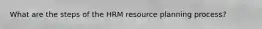 What are the steps of the HRM resource planning process?