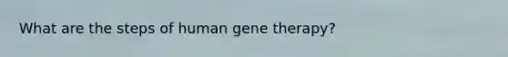 What are the steps of human gene therapy?