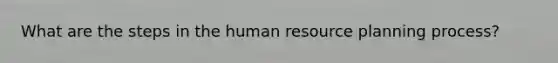 What are the steps in the human resource planning process?