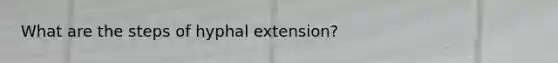 What are the steps of hyphal extension?