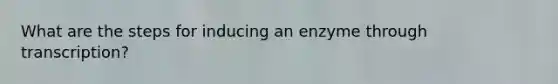 What are the steps for inducing an enzyme through transcription?