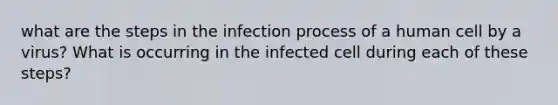 what are the steps in the infection process of a human cell by a virus? What is occurring in the infected cell during each of these steps?