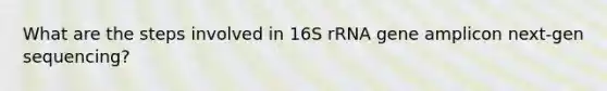 What are the steps involved in 16S rRNA gene amplicon next-gen sequencing?