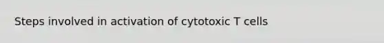 Steps involved in activation of cytotoxic T cells