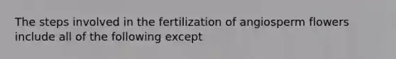 The steps involved in the fertilization of angiosperm flowers include all of the following except