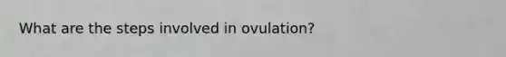 What are the steps involved in ovulation?