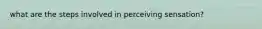 what are the steps involved in perceiving sensation?