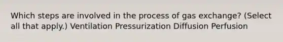 Which steps are involved in the process of gas exchange? (Select all that apply.) Ventilation Pressurization Diffusion Perfusion