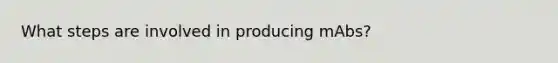 What steps are involved in producing mAbs?