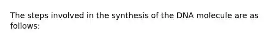 The steps involved in the synthesis of the DNA molecule are as follows: