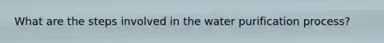 What are the steps involved in the water purification process?