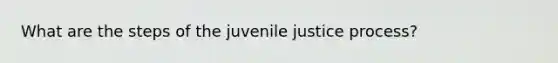 What are the steps of the juvenile justice process?