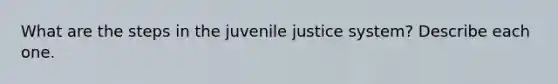 What are the steps in the juvenile justice system? Describe each one.