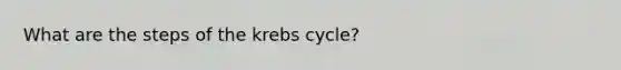 What are the steps of the krebs cycle?