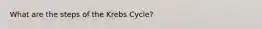 What are the steps of the Krebs Cycle?