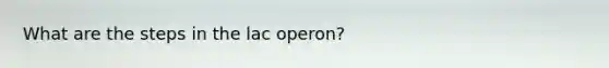 What are the steps in the lac operon?