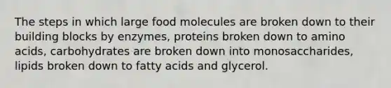 The steps in which large food molecules are broken down to their building blocks by enzymes, proteins broken down to amino acids, carbohydrates are broken down into monosaccharides, lipids broken down to fatty acids and glycerol.