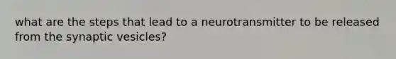 what are the steps that lead to a neurotransmitter to be released from the synaptic vesicles?