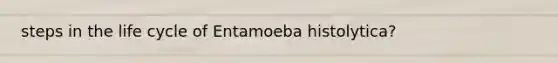 steps in the life cycle of Entamoeba histolytica?