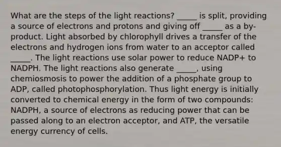 What are the steps of the light reactions? _____ is split, providing a source of electrons and protons and giving off _____ as a by-product. Light absorbed by chlorophyll drives a transfer of the electrons and hydrogen ions from water to an acceptor called _____. The light reactions use solar power to reduce NADP+ to NADPH. The light reactions also generate _____, using chemiosmosis to power the addition of a phosphate group to ADP, called photophosphorylation. Thus light energy is initially converted to chemical energy in the form of two compounds: NADPH, a source of electrons as reducing power that can be passed along to an electron acceptor, and ATP, the versatile energy currency of cells.