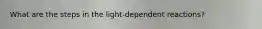 What are the steps in the light-dependent reactions?