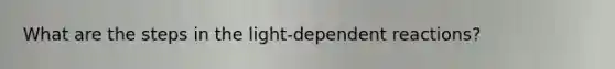 What are the steps in the light-dependent reactions?