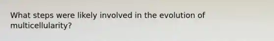 What steps were likely involved in the evolution of multicellularity?