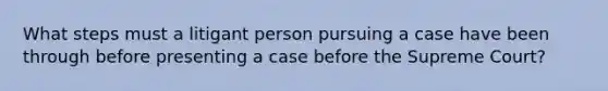 What steps must a litigant person pursuing a case have been through before presenting a case before the Supreme Court?