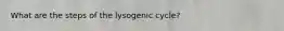 What are the steps of the lysogenic cycle?