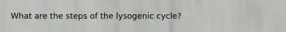 What are the steps of the lysogenic cycle?