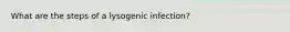 What are the steps of a lysogenic infection?