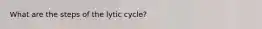 What are the steps of the lytic cycle?