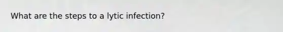 What are the steps to a lytic infection?