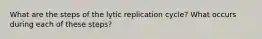 What are the steps of the lytic replication cycle? What occurs during each of these steps?