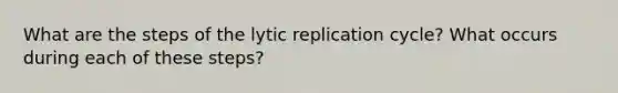 What are the steps of the lytic replication cycle? What occurs during each of these steps?