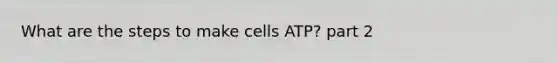 What are the steps to make cells ATP? part 2