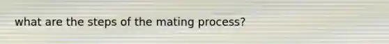 what are the steps of the mating process?