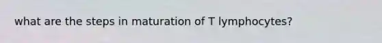 what are the steps in maturation of T lymphocytes?