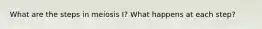 What are the steps in meiosis I? What happens at each step?