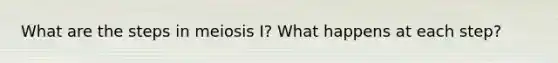What are the steps in meiosis I? What happens at each step?