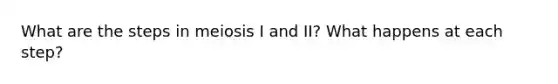 What are the steps in meiosis I and II? What happens at each step?