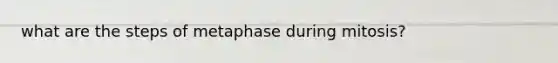 what are the steps of metaphase during mitosis?