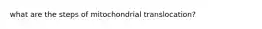 what are the steps of mitochondrial translocation?