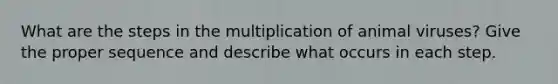 What are the steps in the multiplication of animal viruses? Give the proper sequence and describe what occurs in each step.