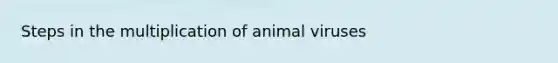 Steps in the multiplication of animal viruses