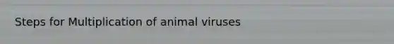 Steps for Multiplication of animal viruses