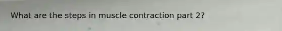 What are the steps in muscle contraction part 2?
